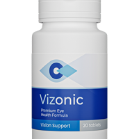 Vizonic